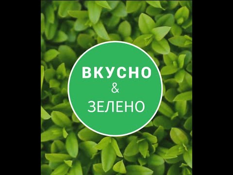 Новое ИМЯ Канала! Новое направление 👉