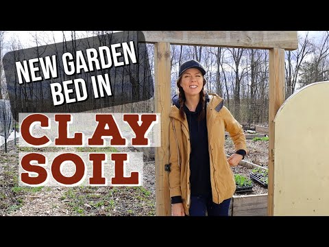 Creating a New Garden Bed In Clay Soil