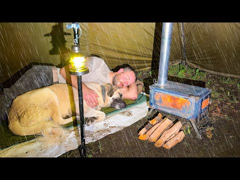 Hot Tent Camping in Heavy Rain and Rainstorm! - Caught in Rain with My Dog!