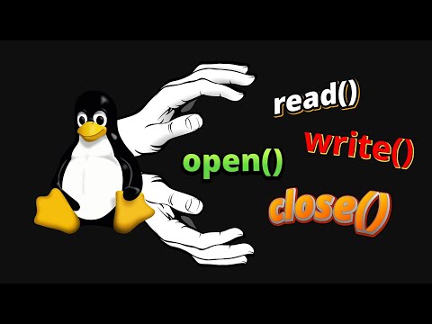 Everything You Need to Know About Files in Linux