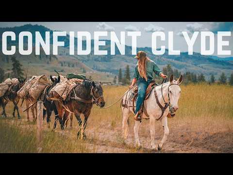 How My Mule Learned to Lead a Pack String in 3 Days