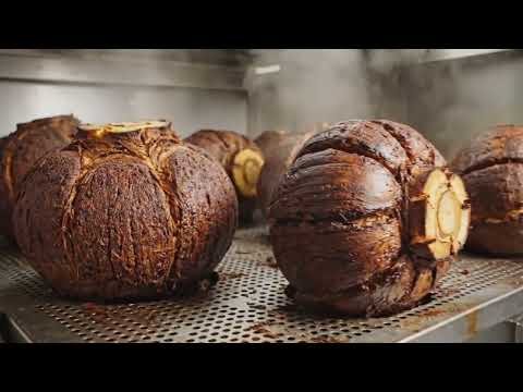 This Is How Tequila Is Mass-Produced (It’s Kinda Wild)