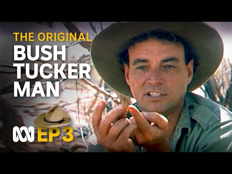 Finding food, water in the Tanami Desert 🤠🗺️ | Bush Tucker Man | S1 EP3 | ABC Australia