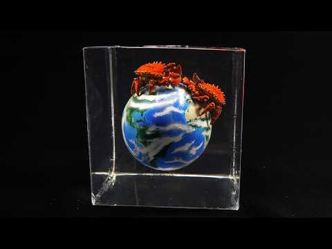 I made 2 crabs fighting on earth