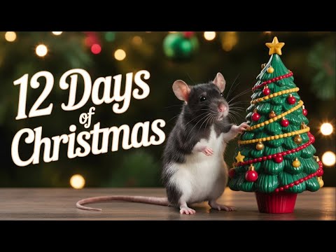 12 Days Of Christmas. Day 2 Do You Wanna Build A Snowman?