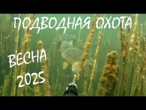 ПОДВОДНАЯ ОХОТА! ВЕСНА 2025! ЛУЧШИЕ МОМЕНТЫ!
