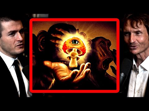 Origin of homosapiens: Did drugs create humans? | Norman Ohler and Lex Fridman