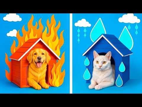 Chiens de feu et d’eau! On a construit une pièce secrète pour nos animaux