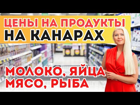 Grocery Basket in Spain: Prices at the Popular Mercadona Supermarket 2025