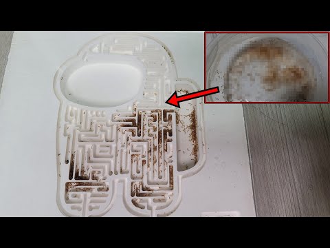 절대 못 빠져나오는 미로방으로 설계해서 개미에게 주었는데..!?!