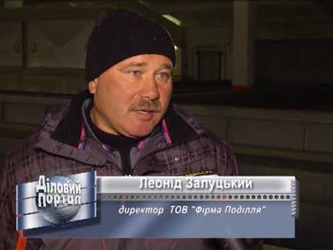 Голозирні штирійські гарбузи. Прибуткове вирощування. Стабільний експорт. Вінницька область