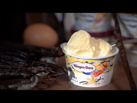 ハーゲンダッツ  バニラ完全再現への道