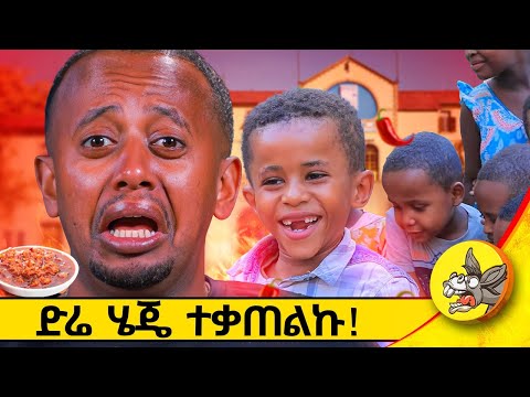 ድሬዎች በፍቅር አቃጣሉኝ ! #comedianeshetu #donkeytube #diredawa #vlog #spicyfood