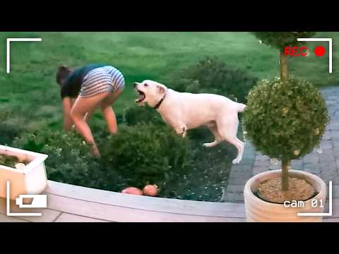 When Animals Think No One’s Watching 😂 Backyard Edition