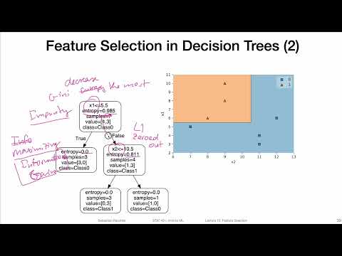 13.3.2 Decision Trees & Random Forest Feature Importance (L13: Feature Selection)