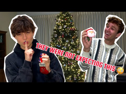 WE SURPRISED OUR PARENTS WITH A CHRISTMAS TREE 🎄