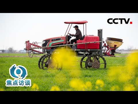 小农机上山种地、小火车穿梭林间运输……未来，还会有更多“神器”助力丘陵山区的农业生产！| CCTV「焦点访谈」20240402