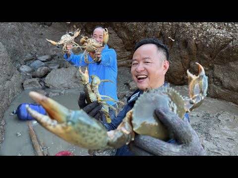 小明本想出海抓几条鱼给丈母娘庆生，没想到一年没抽的山洞坑里竟有意外收获，螃蟹泛滥抓到腻