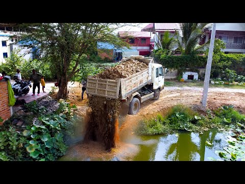 The lotus pond delete by stone push by bulldozer D20P dump truck 5 ton unload stone