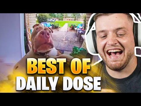 😂😍Die BESTEN KLINGEL Videos ALLER ZEITEN - REAKTION! | Trymacs Stream Highlights