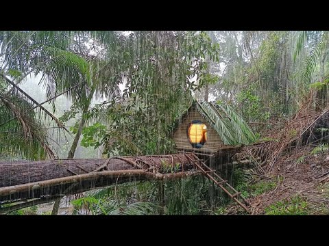 3 hari camping survival dihutan || Membangun tempat berlindung di saat hujan