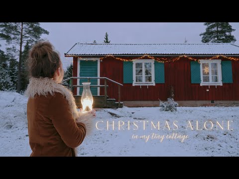 Christmas Alone with my Cats in my Tiny Cottage