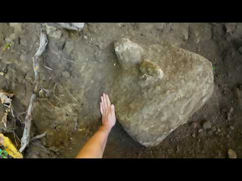 What emerged from the secret prehistoric structure shocked everyone!