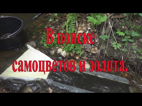 В поиске самоцветов и золота!