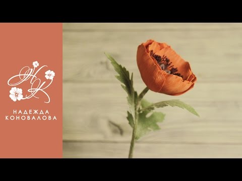 Цветы из фоамирана - мастер класс по созданию мака