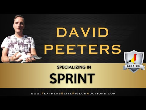Sprint Racing Master David Peeters Belgium Loft Tour