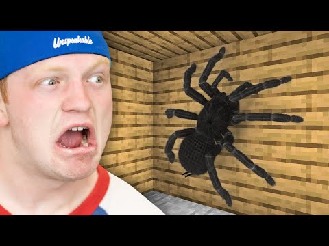 Minecraft Memes That Make Me Cry