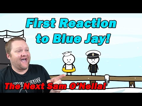 The Dumbest Russian Voyage Nobody Talks About | BlueJay |  History Teacher Reacts