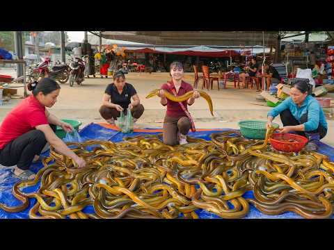 Selling Lots of Eels at the Countryside Market -- Buying New Baby Ducklings for the Farm
