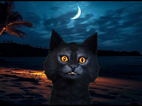 Стрим / общение