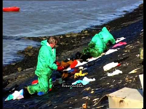 Oil Spill | Oil Spill Clean up | Oil pollution | Pollution | Environmental Impact | Canvey Island