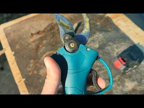 Секатор с али экспресс после обрезки 200 крупных деревьев