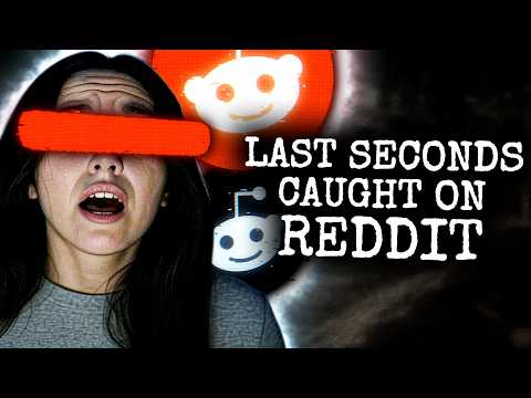 Redditors Final Post Before Disappearing Completely