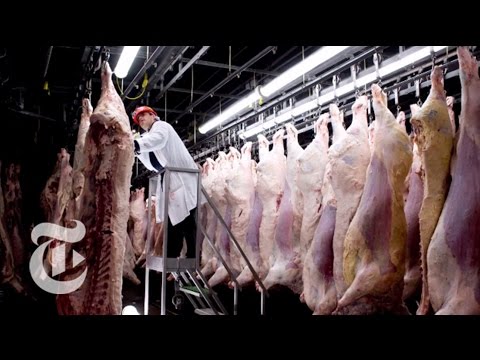 Chasing Outbreaks: How Safe Is Our Food? | Retro Report | The New York Times