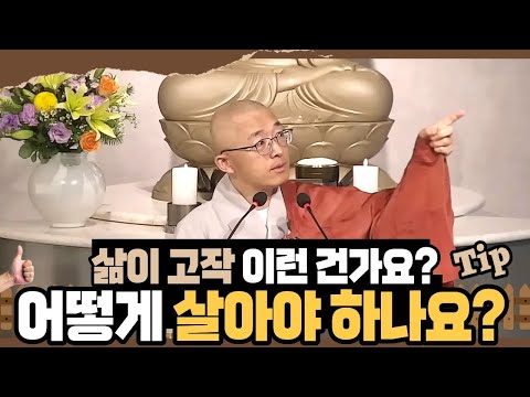 [황벽51] 어떻게 살아야 하나요? 삶이 고작 이런 건가요?