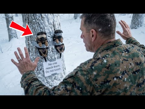 Marine Finds 2 German Shepherd Puppies Taped to a Tree in the Snow — The Note He Found Made Him Cry