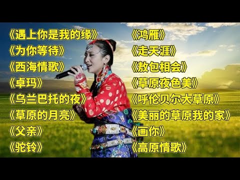 藏舞遇上你是我的缘为你等待西海情歌卓玛乌兰巴托的夜