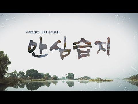 대구MBC특집 UHD다큐멘터리 안심습지
