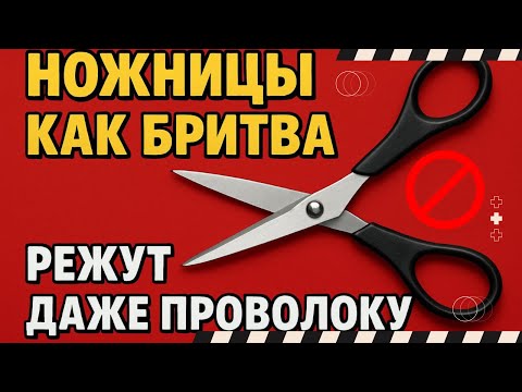 Как ПРОСТО заточить любые ножницы дома до бритвенной остроты за 1 МИНУТУ⁉️