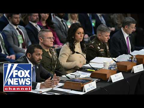Tulsi Gabbard testifies in hearing to examine 'worldwide threats'