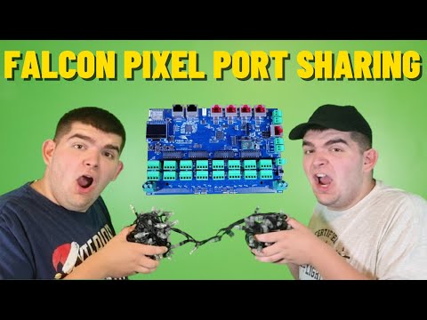 Falcon Pixel Port Sharing with Receivers and Expansions 101