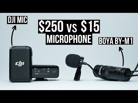 Can a $15 Mic Compete with a $250 Mic?