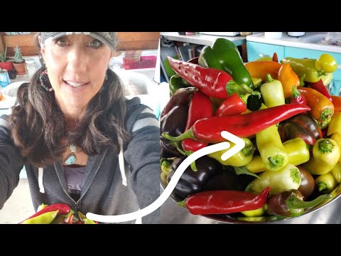 HOW TO FERMENT any VEGETABLE! get more NUTRITION