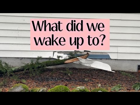 Western Washington Storm Dec 2025