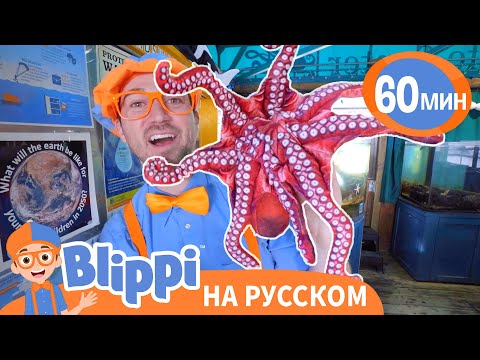 Подводный МИР с Блиппи | Изучай этот мир вместе с Блиппи | Blippi Russian