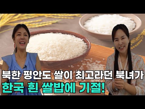 [박하연님 풀스토리]북한 평안도 쌀이 최고하던 북녀가 한국 흰 쌀로 밥 지어보고 기절!
